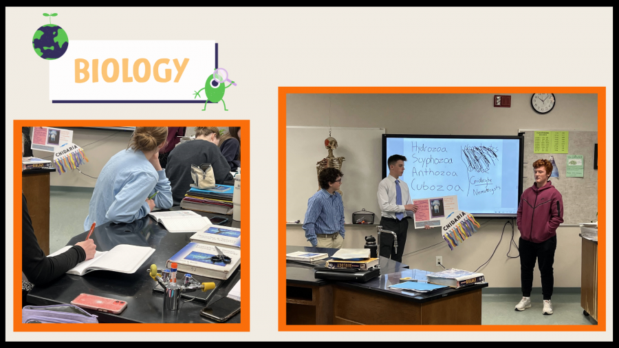 Collage of Biology students working